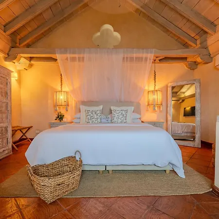 Moet Boutique Adutls Only 4* Cartagena